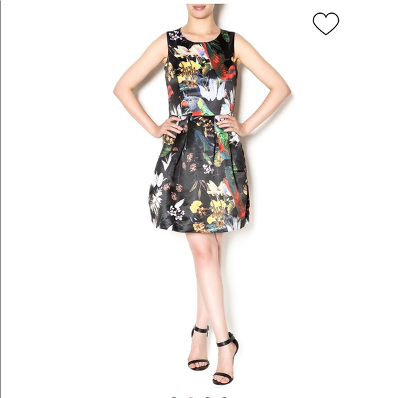 Moon Collection Dresses & Skirts - Moon Collection black bird dress | M